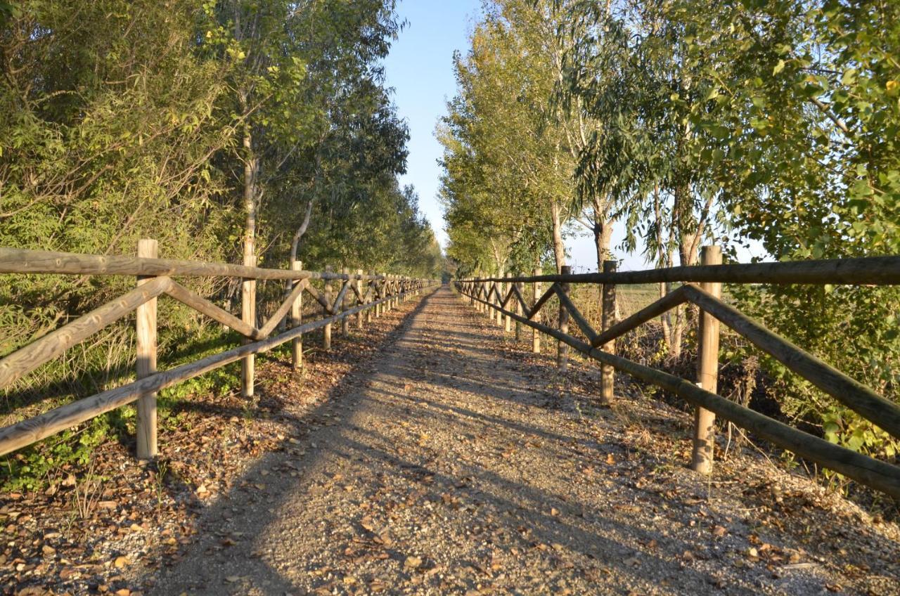 River Dreams Bed and breakfast Deltebre